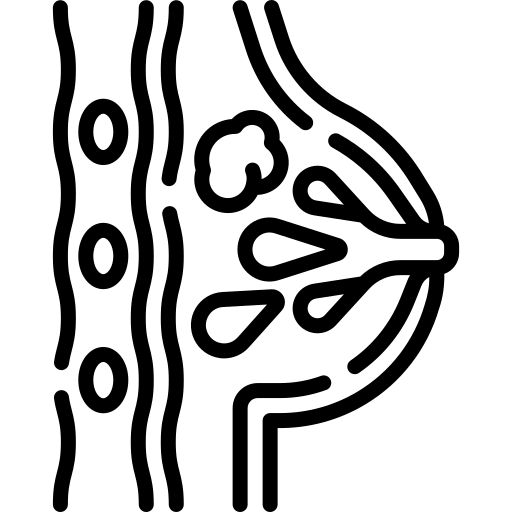 Florescense breast boosting
